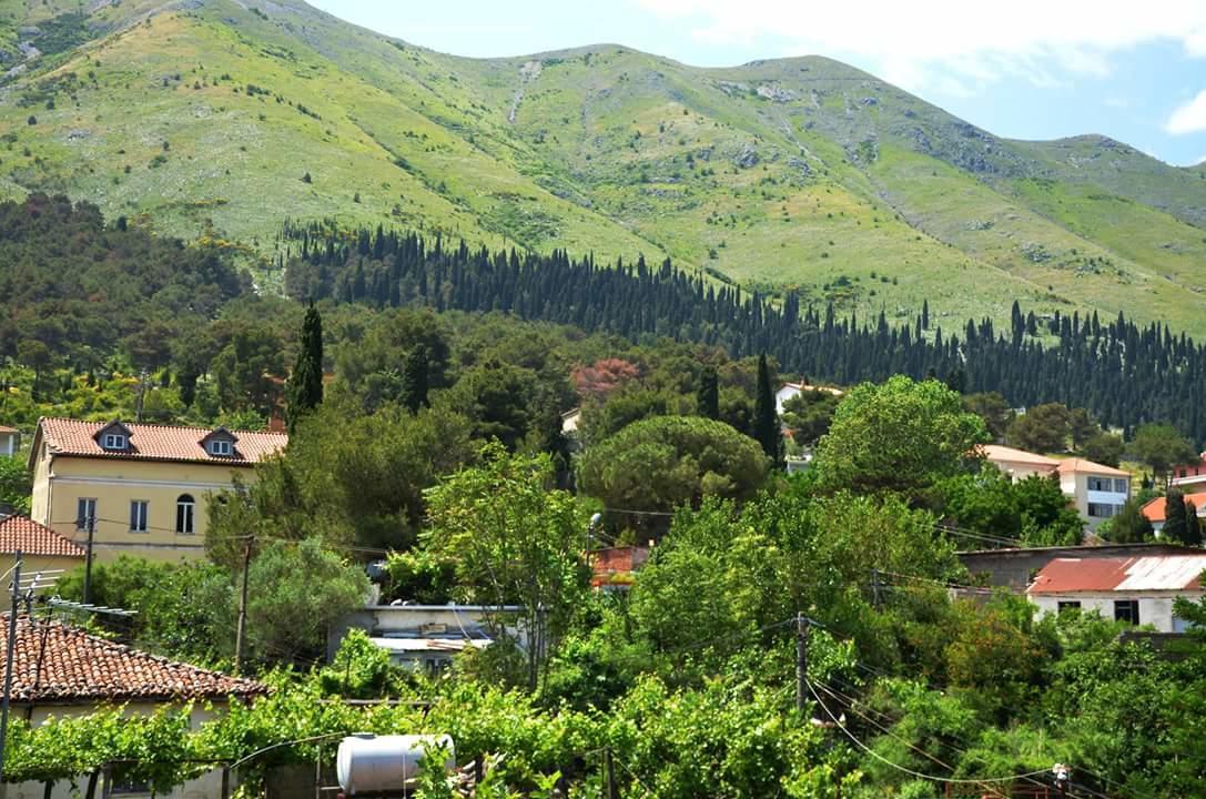 Hotel Shkodra Lake Shiroka Екстер'єр фото