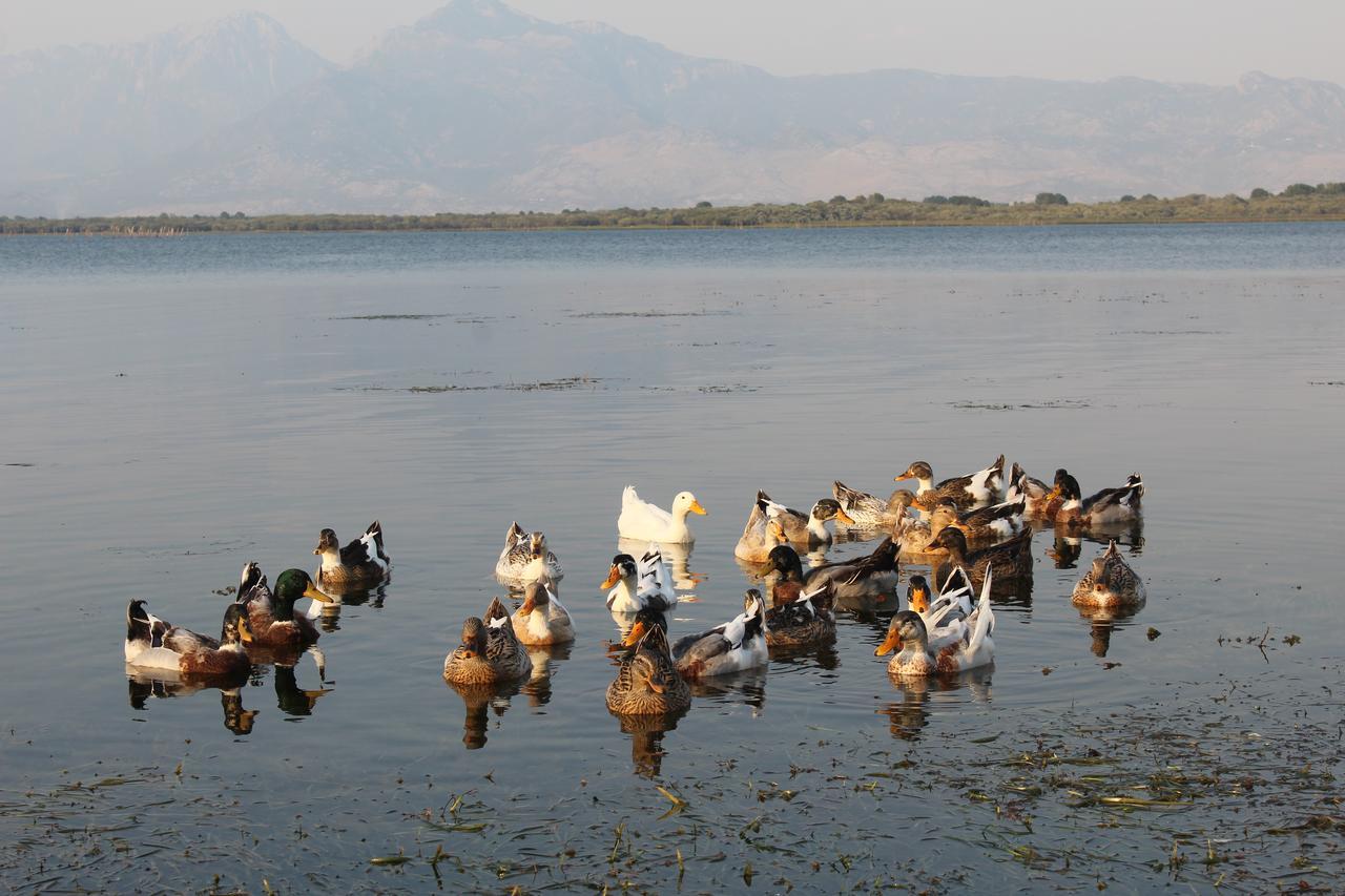 Hotel Shkodra Lake Shiroka Екстер'єр фото